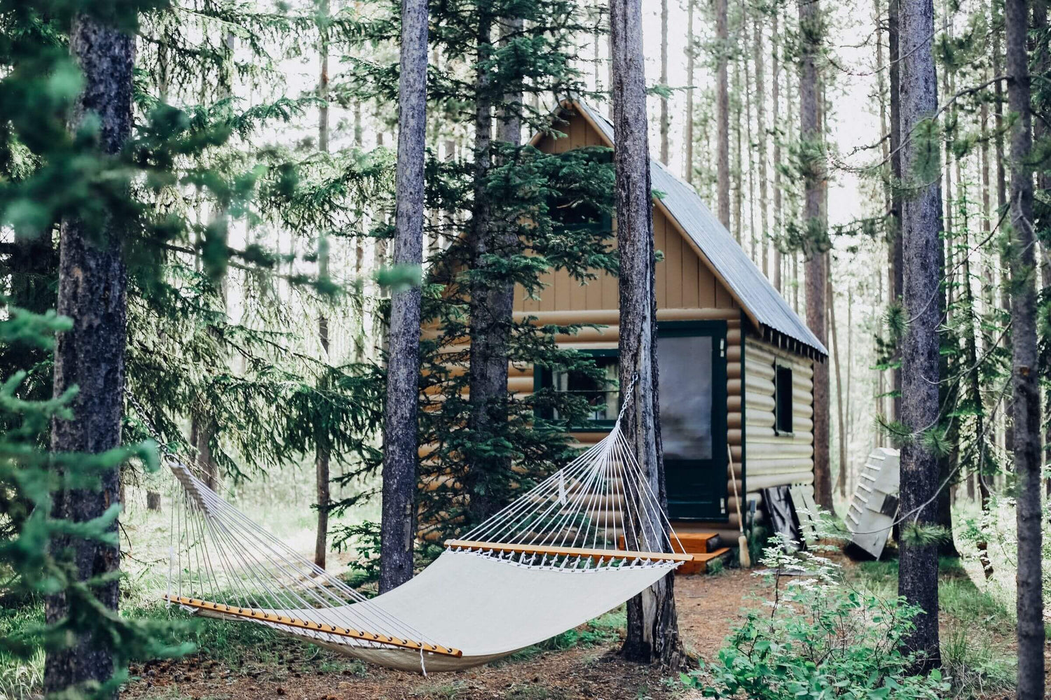 Log Cabin On Ground Screws